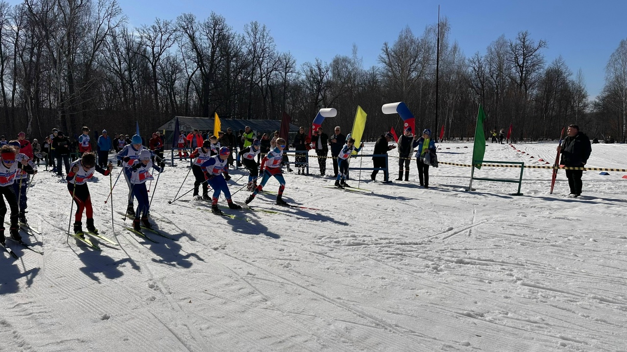 /netcat_files/120/171/h_1e6a0555c1c5952e35a831a5e60fac0f