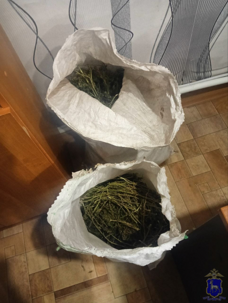 /netcat_files/155/253/h_7d65765e30a6ab23888d30e2318a775e