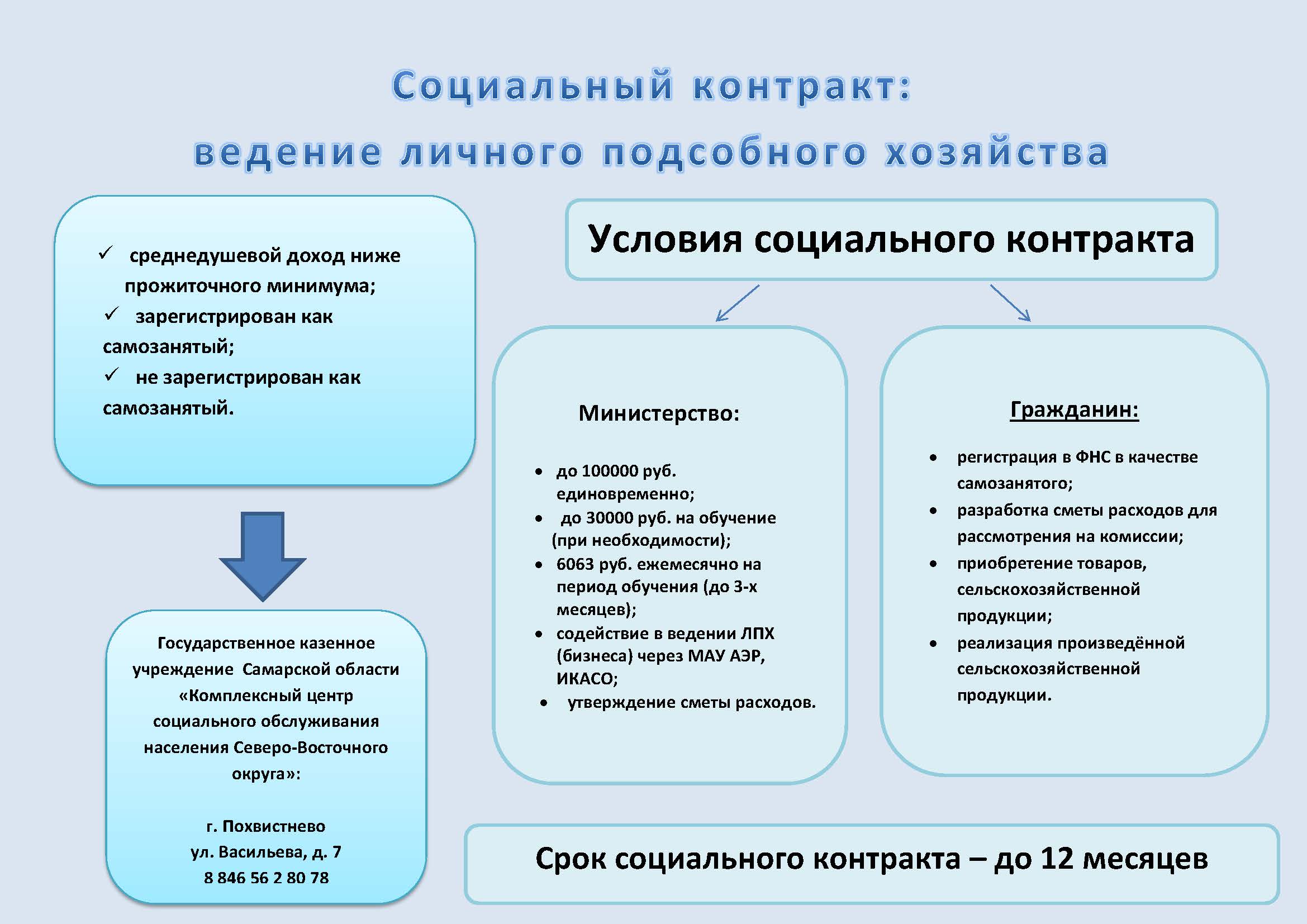 Социальный контракт самозанятый. Социальный контракт. Социальный контракт ЛПХ. Контракт на ведение личного подсобного хозяйства. Соц контракт ведение личного подсобного.